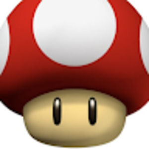 Meet your Posher, Joey